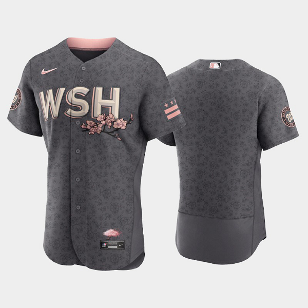 Men's 2022 City Connect Washington Nationals Gray MLB Jersey