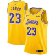 Youth Nike Los Angeles Lakers #23 LeBron James Nike Gold Swingman Jersey