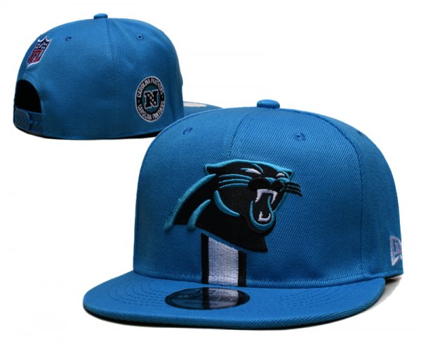Carolina Panthers Blue Cap