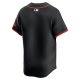 Men's San Francisco Giants  Nike Black  Alternate Limited Jersey