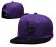 Minnesota Vikings Purple Cap
